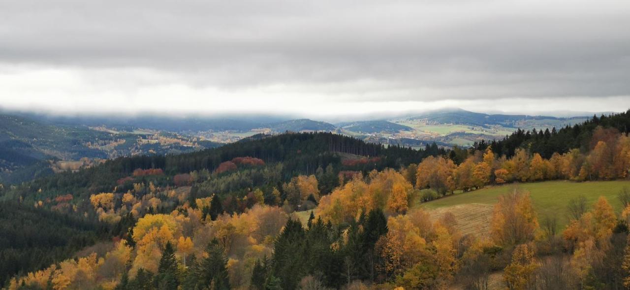 Hotel Zlaty Potok Nicov  Экстерьер фото
