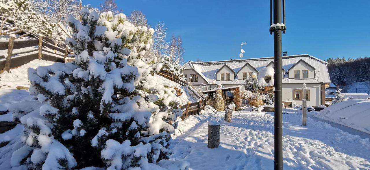 Hotel Zlaty Potok Nicov  Экстерьер фото