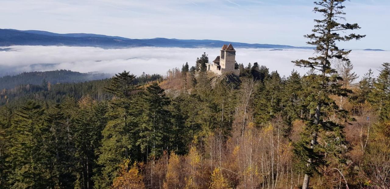 Hotel Zlaty Potok Nicov  Экстерьер фото