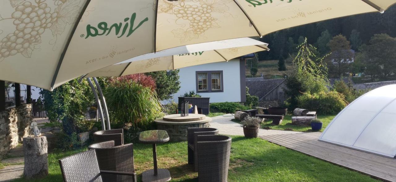Hotel Zlaty Potok Nicov  Экстерьер фото