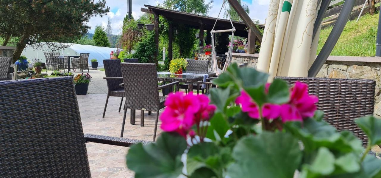 Hotel Zlaty Potok Nicov  Экстерьер фото