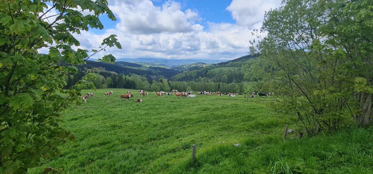 Hotel Zlaty Potok Nicov  Экстерьер фото