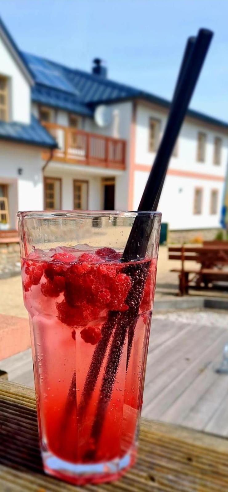 Hotel Zlaty Potok Nicov  Экстерьер фото